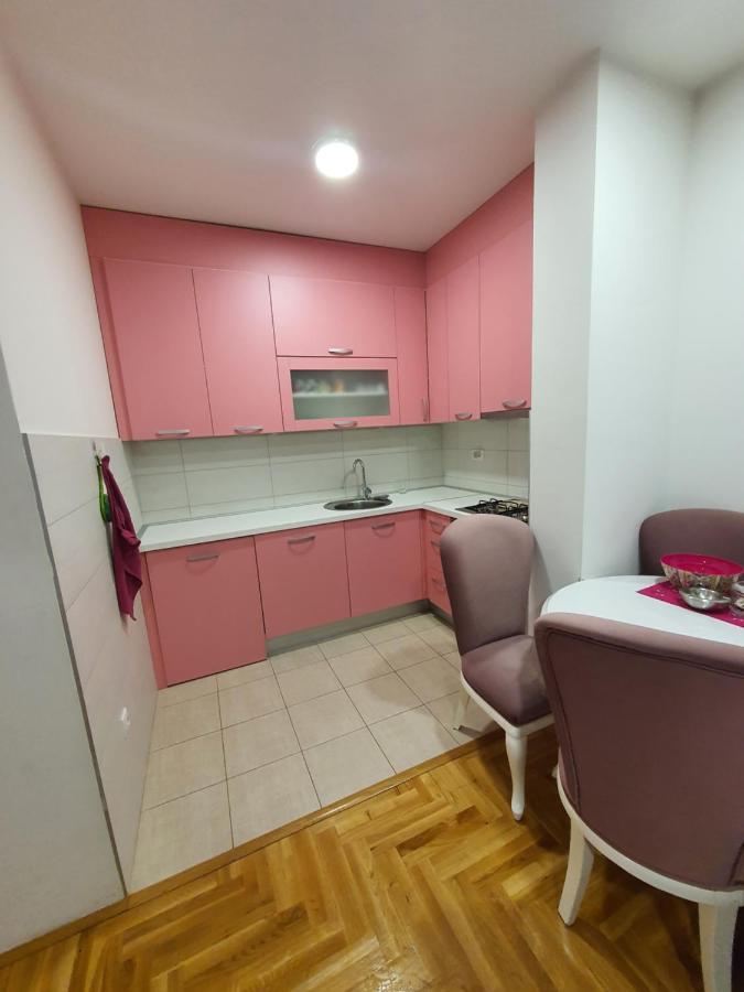 Apartman Kristina, Istocno Sarajevo,Vojvode Radomira Putnika 49F Lukavica エクステリア 写真